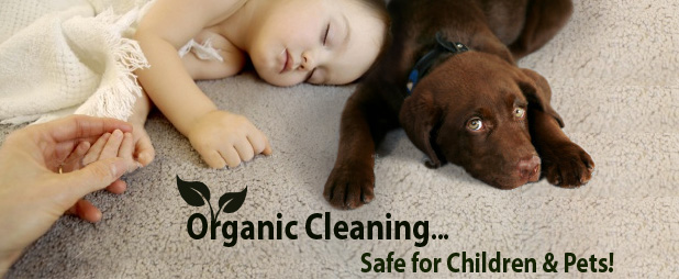 carpet cleaning services, upholstery cleaning services, Toronto, Markham, Etobicoke