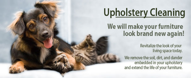 Upholstery Cleaning Services, Furniture Cleaning Services, Carpet Cleaning Services, Grout Cleaning Services