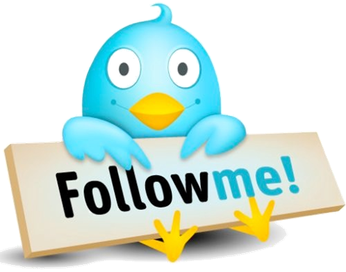 follow_me_bird.png