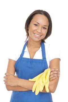 justcleanitgirl2.png