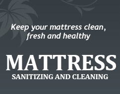 Mattress Cleaing Services, Carpet Cleaning Services, Professional Mattress Cleaning Services, Toronto, Scarborough, Etobicoke, North York