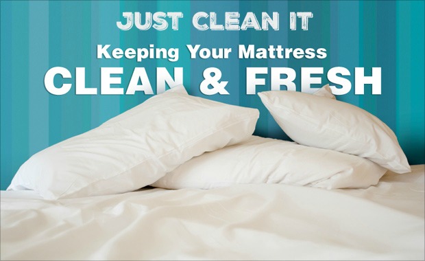 Mattress Cleaning Services Toronto, Mattress Cleaning Services, Professional Mattress Cleaning Services, Mattress Cleaning Services Scarborough, Mattress Cleaning Services Etobiock