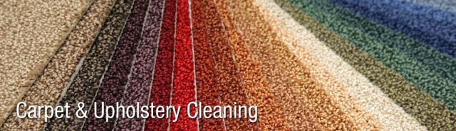 Carpet Cleaning Services Toronto, Professional Cleaning Services, Carpet Cleaning Services Etobicoke, Carpet Cleaning Services Scarborough, Carpet Cleaning Services Markham, Carpet Cleaning Services GTA, Affordable Carpet Cleaning Services, Carpet Cleaning Services